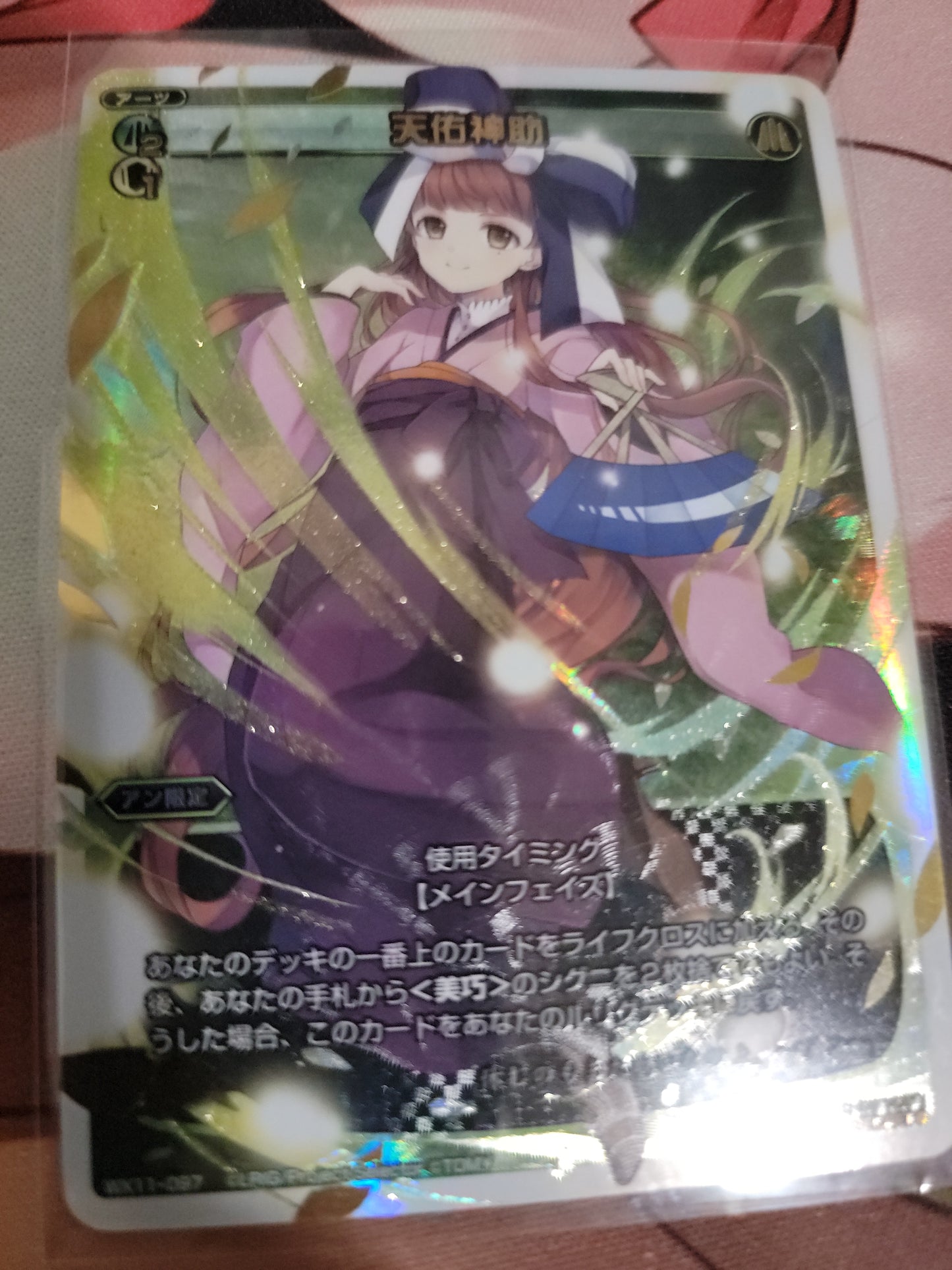 Tenyu Shinsuke (Secret) (Japanese)